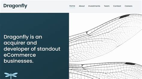 Dragonfly Receives Significant Investment from L Catterton's .